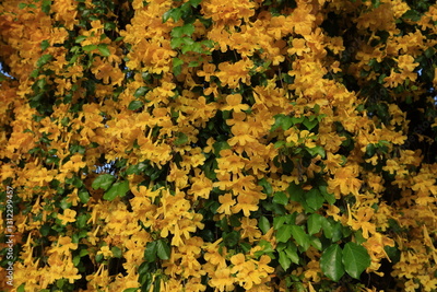 image to crop