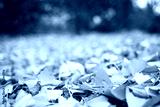 preview cold