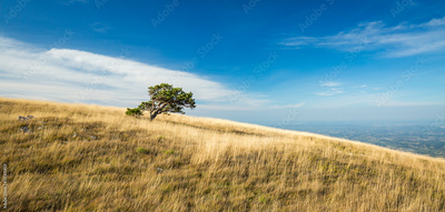 image to crop