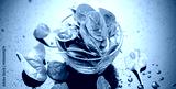 preview cold