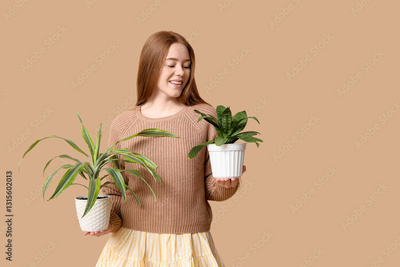 image to crop