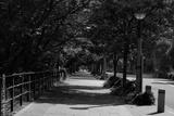 preview bw