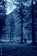 preview cold