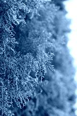 preview cold