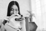preview bw