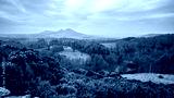 preview cold