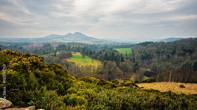 image to crop
