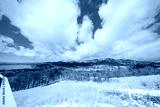 preview cold