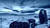 preview cold