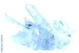 preview cold