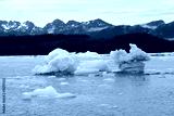 preview cold