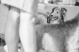 preview bw