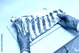 preview cold