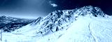 preview cold