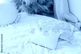 preview cold