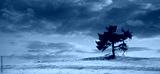 preview cold