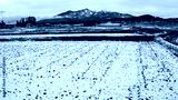 preview cold