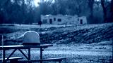 preview cold