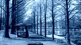 preview cold