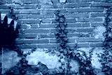 preview cold