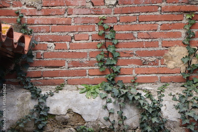 image to crop