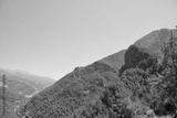 preview bw