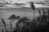 preview bw