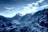 preview cold