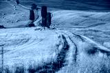 preview cold