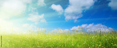 image to crop