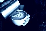 preview cold