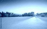 preview cold
