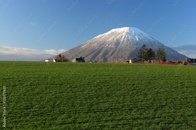 image to crop