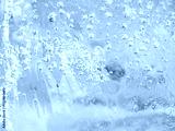preview cold