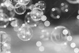 preview bw