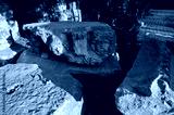 preview cold