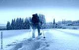 preview cold