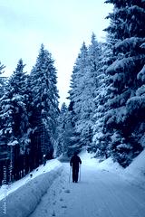 preview cold