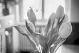 preview bw