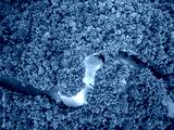 preview cold