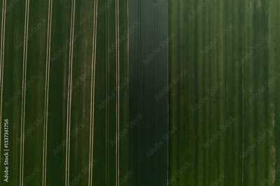 image to crop