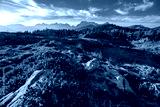 preview cold