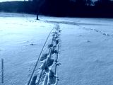 preview cold