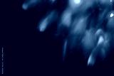 preview cold