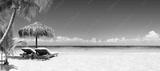 preview bw