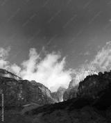 preview bw