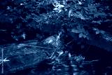 preview cold