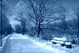 preview cold