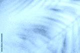 preview cold