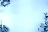 preview cold